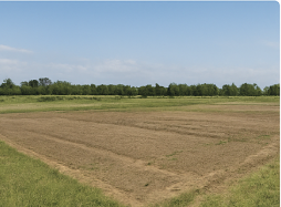 Best Plots In Vasai-Virar